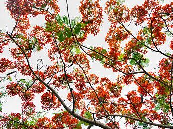 克苏鲁多人合作恐怖游戏《Eresys》宣传片